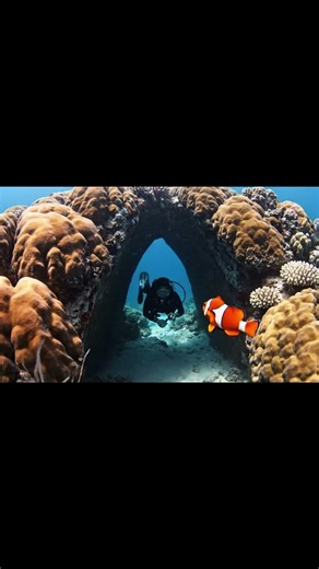 “The Deep Sea Creature That Shocked Every Diver Nearby 😳🌊🐟”