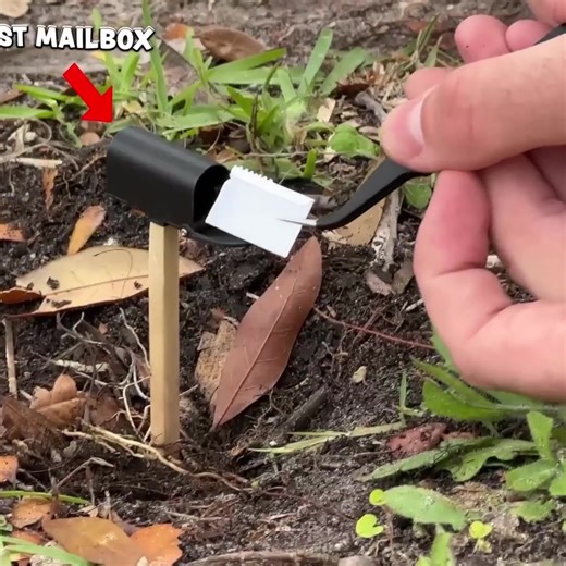 I Made My Mailbox Smaller Everyday til the Mailman Noticed! Part 1 | i shrunk my mailbox every day part two