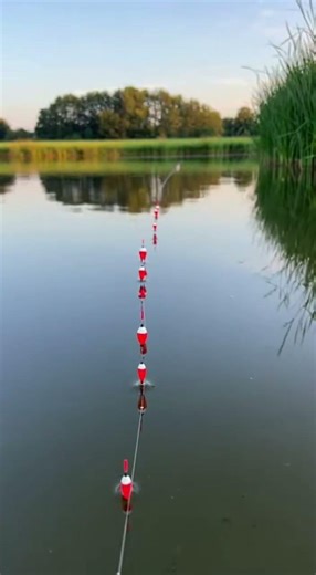 What Happens If You Use 5 Floats? #fishing