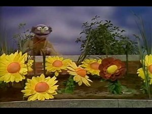 Sesame Street Episode 1455 [New] HD
