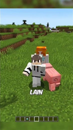 This trick can change the mod world in Minecraft