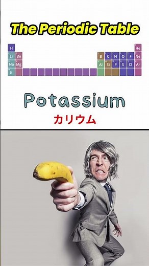 The Periodic Table Song 「元素の周期表」！！ #英語 #science