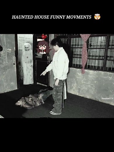 “Ghost Reactions That Will Make You Laugh Out Loud 😂