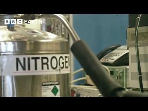 Is Nitrogen the Key to Immortality? | BBC Earth Science