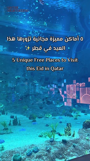 Qatar Sightseeing على TikTok