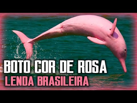 Boto-cor-de-rosa, a famosa lenda do Boto - FOLCLORE BRASILEIRO