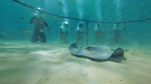 #ThereIsAPlaceWhere I can walk under the sea to discover all its beauty! 🐟😍🐟 | Xel-Ha