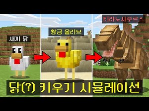 마인크래프트, 닭(?) 키우기 시뮬레이션 켠왕하기