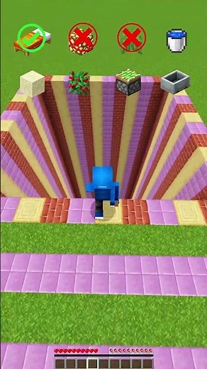 MINECRAFT : FALL DAMAGE VS BLOCK'S 😍 WAIT FOR IT..(WORLDS SMALLEST VIOLIN)#minecraft #shorts