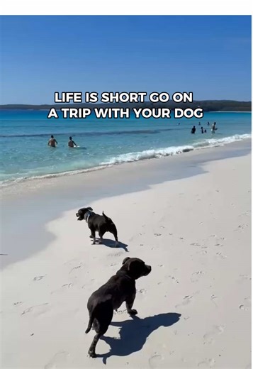 Creating Lasting Memories on Your Vacation