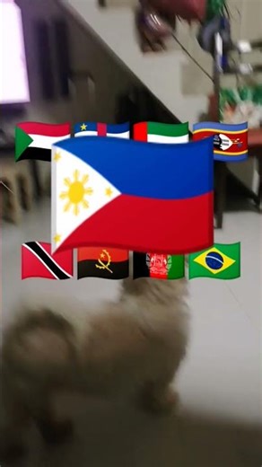 More Flags has a Sparta Remix