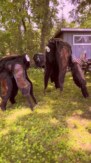 Embark on the Path of the Spirit Walker