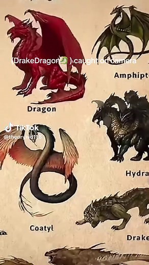 a dragon (Drake type) caught on camera…🤔🤔🤔#dragon #conspirancytheory