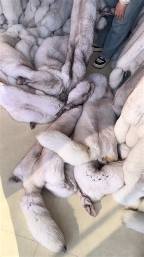 #furcoat #HighQualityFur #FoxFurCoat #批发 #fur | fur coat