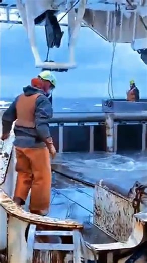 Inside Life Aboard A Cargo Ship During Long Ocean Voyages 🚢🌊