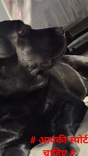 # one milian follower #ho sakte aap chaaho two bhi ho#short #youtube #feeds