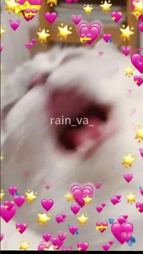 MMMMMMMMMMMMMMMMM #rainklipp #fyp #asmr #vtuber #funny