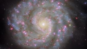 This is the spiral galaxy NGC 3596, which is situated 90 million light-years from Earth in the constellation Leo 🦁⭐ It appears almost perfectly face-on when viewed from Earth, showcasing its neat spiral arms. The arms mark where star formation is most active, with star-forming regions appearing in pink and young stars in blue! Read more here: https://ow.ly/PGFJ50VVpbn 📷 ESA - European Space Agency / Hubble Space Telescope & NASA - National Aeronautics and Space Administration , D. Thilker, N. 