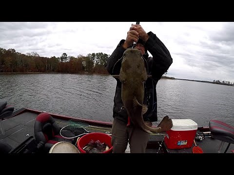 Lake Murray Fall Crappie, How To catch Um