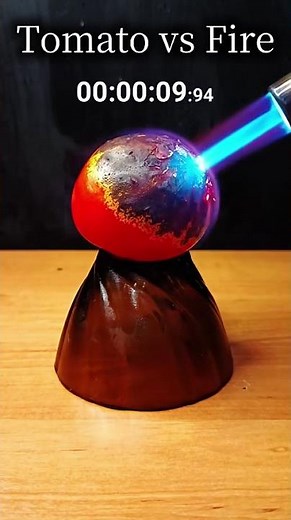 🔥 Testing Fire on Everyday Materials | Incredible Chemistry Experiment