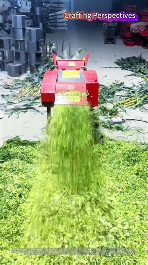 High-Speed Corn Stalk Crusher Turning Whole Stalks into Fine Shreds