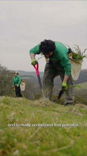 Sticking some trees in the ground is simple, right?
