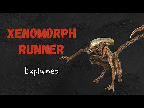 Xenomorph Runner - Explained (Alien Lore)