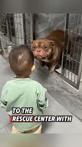 1M views · 10K reactions | This little boy adopted a dog, and then this happened... #dog #animals | Loveable Stories | Facebook