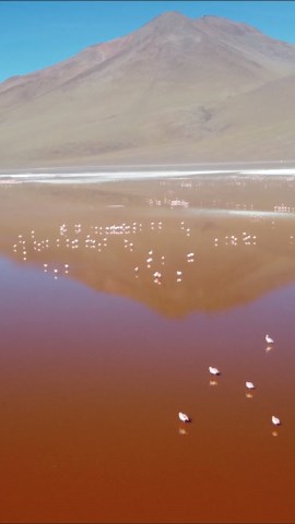 Laguna Colorada: A Bird's-Eye View of Bolivia's Red Lake.