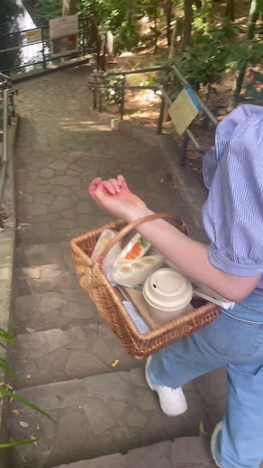 こんな自然が東京にあるの！ しかも渋谷から30分もかからないとか信じられん#等々力 #等々力渓谷 #東京スポット#東京カフェ#東京自然 #04#東京公園#ピクニック