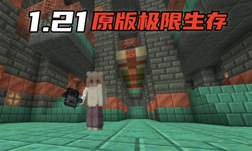 【我的世界】1.21极限生存 全是手法