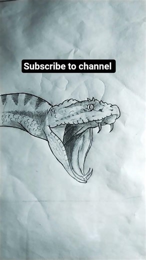 snake drawing// how draw a snake sketch with pencil// so easy snake drawing # sort