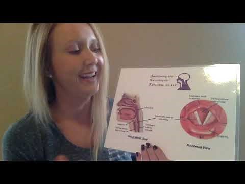 What can we see on a Fiberoptic Endoscopic Evaluation of Swallowing (FEES)?