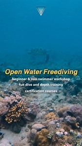 25 reactions | Open Water Freediving Be confident and learn new...