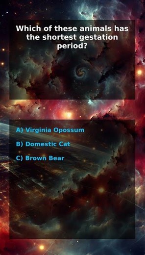 Which of these animals has the shortest gestation period? #shorts #quiz