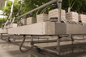 Rolling Benches - Innovative Growers Equipment – Hydrofarm Commercial Division