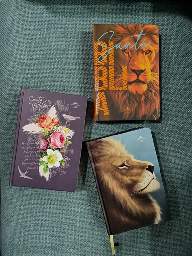 Casa de la Biblia Barquisimeto | Biblia letra grande tapa dura 📚 Con una letra perfecta, una tapa resistente y diseños creativos, disponibles los tres modelos 🥳... | Instagram