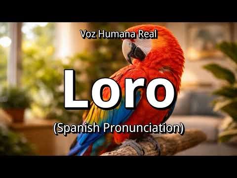👉 How To Say: Loro - Spanish Pronunciation
