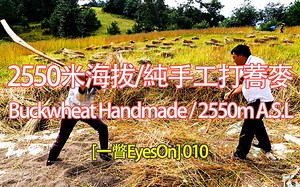 [一瞥EyesOn-010] 2550米海拔/純手工打蕎麥/Buckwheat Handmade at 2550m A.S.L