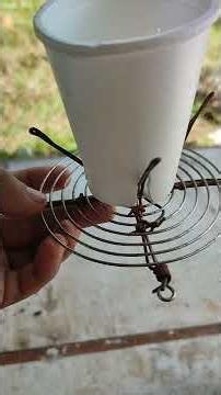 Hydroponics Basics learn with KaPoorman #diy #farming101 #tutorial