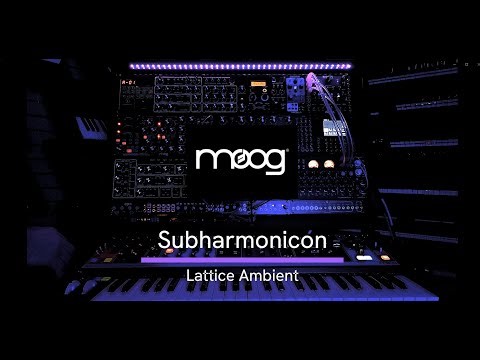 Moog Subharmonicon Lattice Ambient