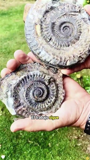 Is this stone valuable? If I find it, will I still have to go to work?#stone #work