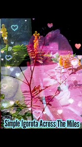 28K views · 887 reactions | #sound #music #musiclovers #musicislife #followers | Simple Igorota Across The Miles | Facebook