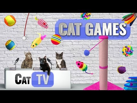 CAT Games TV | Ultimate Cat Toy Compilation | Videos For Cats to Watch | 🐈