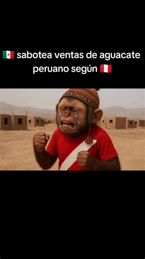 México sabotea turismo y venta de aguacate de Perú según peruano #cerru #turismo #peru🇵🇪 #mexico🇲🇽 #mx