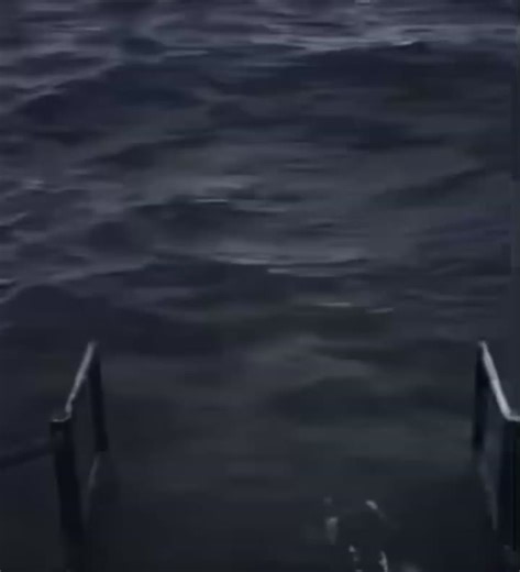 XD Humor: Laugh Out Loud with TikTok Comedy