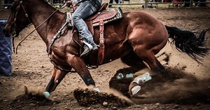 True Western Roundup, Formerly True West Rodeo | Rodeo In Durango