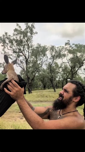 The Kangaroo King at Waddananggu: A Majestic Encounter