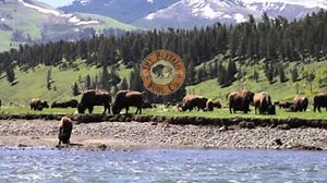 The natural insulating and moisture wicking properties of wool that make it perfect for winter wear also make it ideal for summer wear. http://thebuffalowoolco.com #summerwool #winterwool #bison #buffalo #TheBuffalWoolCo | The Buffalo Wool Co