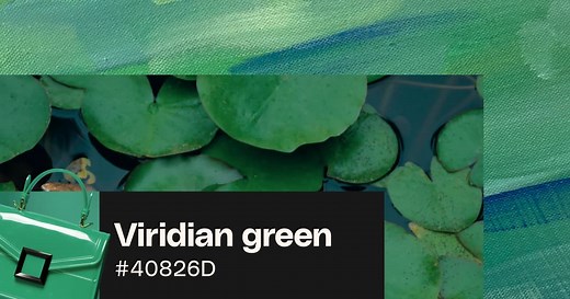 Viridian green: Color codes, color palettes and uses